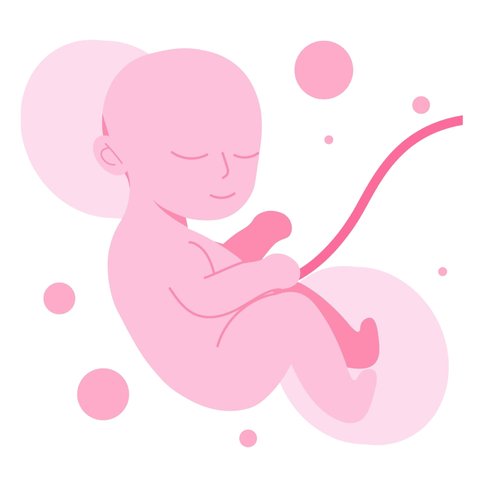pregnancy care