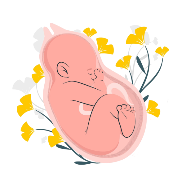 pregnancy care