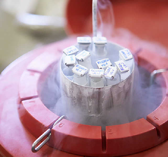 sperm bank