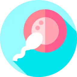egg donation
