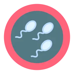 embryo transfer